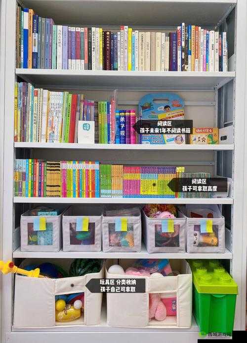 小小收纳图书馆通关攻略：如何顺利将物品收纳至图书馆