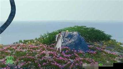 天谕手游沉船千年泪汐语湾找不到原因