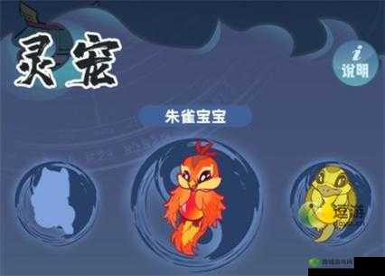 仙界幸存者灵宠获取方法及作用详细解析？