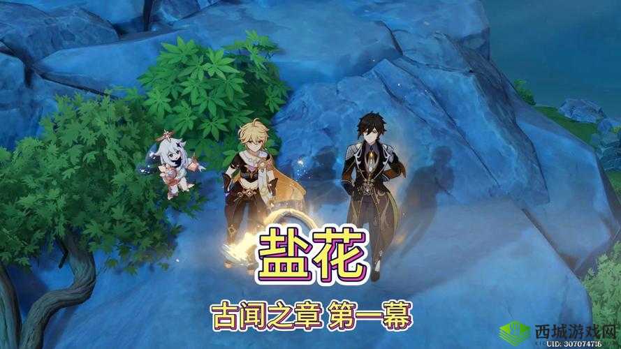 原神盐花任务怎么做?