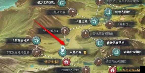 黑色沙漠迎月花记忆点位置揭秘