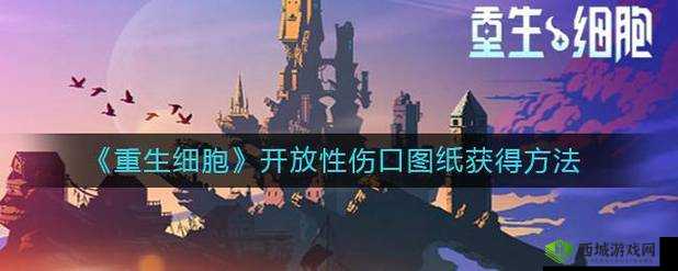 重生细胞:开放性伤口获取指南