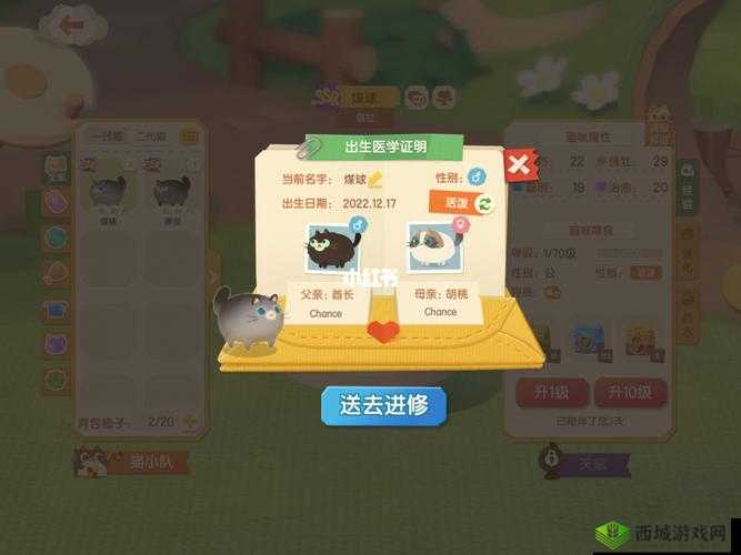 猫咪公寓2:如何获取猫咪?