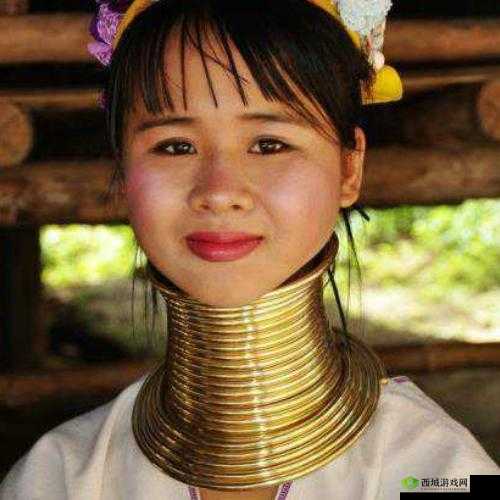 彩虹物语肥皂部落介绍及特点说明