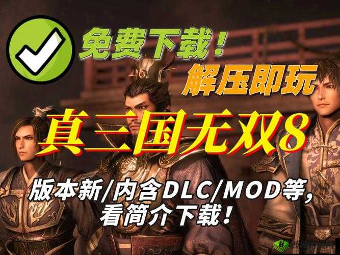 真国无双霸：中文语音设置方法指南