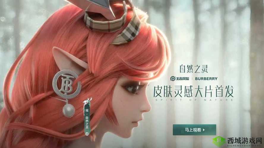 王者荣耀与 Burberry 联名皮肤之预测