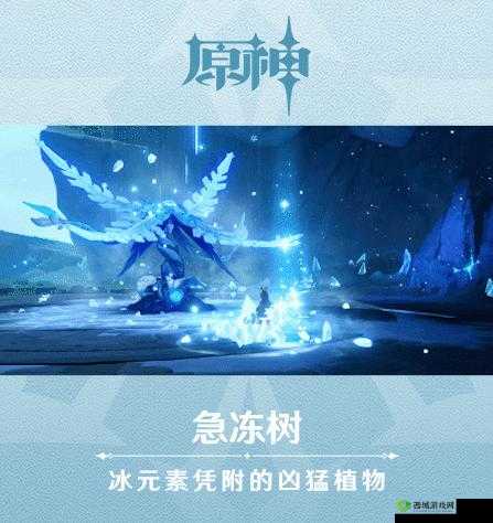 原神急冻树打法攻略：阵容与无伤击杀技巧