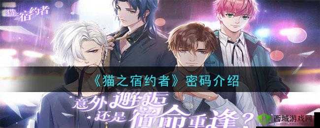 猫之宿约者时间密码及第一章时间密码分享