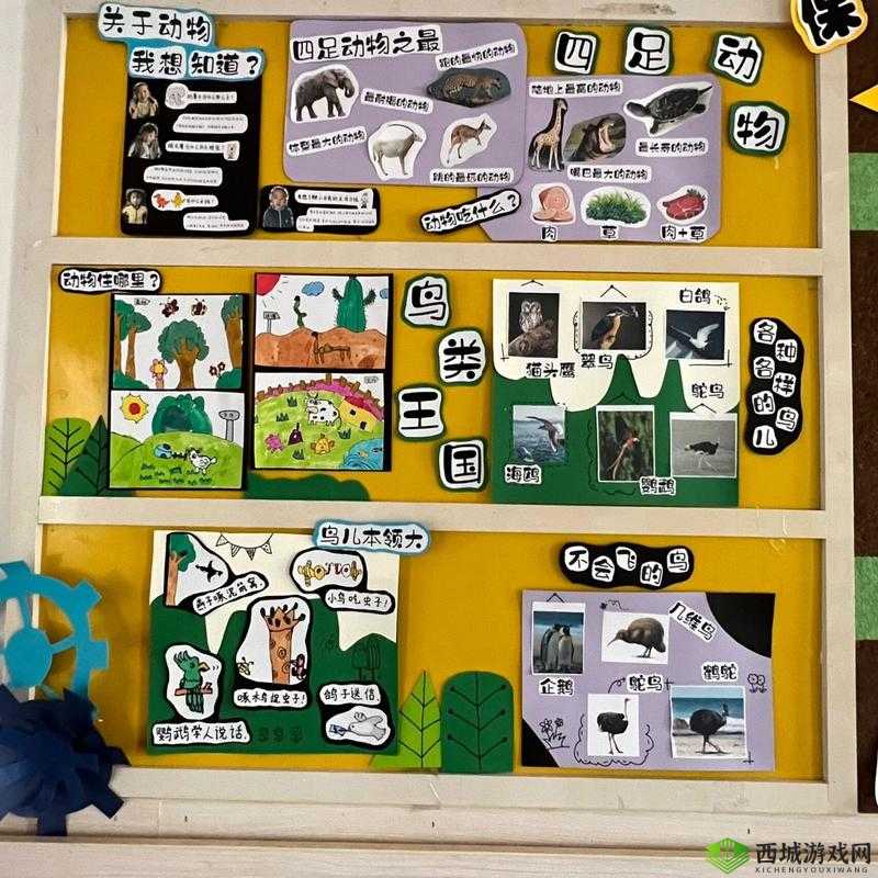 动物朋友王国商店兑换物品推荐？