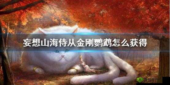 《妄想山海：鹦鹉招募指南》—— 解析鹦鹉招募价值