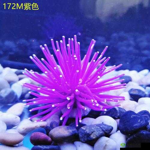 妄想山海紫色鱼缸制作指南：材料与方法全解析