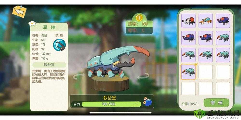 小森生活甲虫任务完成方法：捕捉与斗虫技巧分享