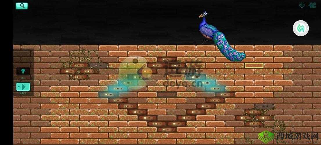 探寻孔雀墙之谜：驻留解密攻略详解