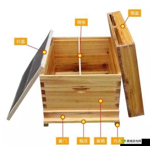 魔法小蜜蜂蜂箱制作指南：解锁独特创意与手工艺制作技巧分享