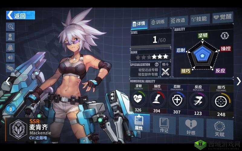 重装战姬麦肯齐：深度解析与推荐指南