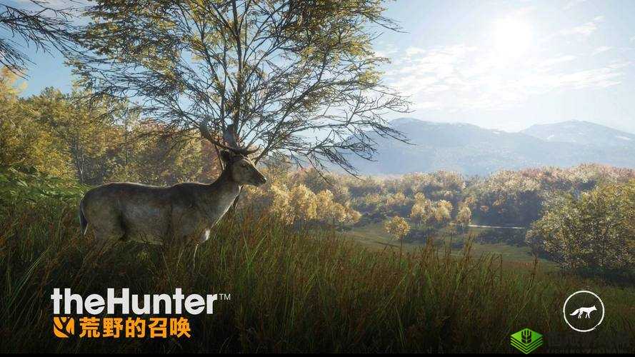 召唤与合成：挑战无限，跨越关卡解锁终极冒险秘籍：关于第35-50关卡的通关攻略分享