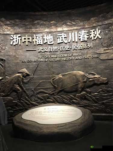 武义州行点获取途径：探索神秘的行奥秘