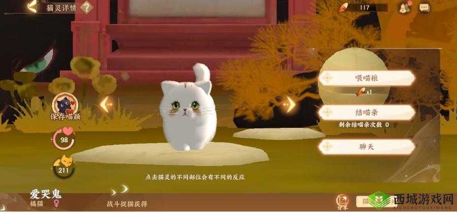 忘川风华录手游结喵亲玩法攻略详解:轻松提升亲密度的技巧秘籍与实战指南