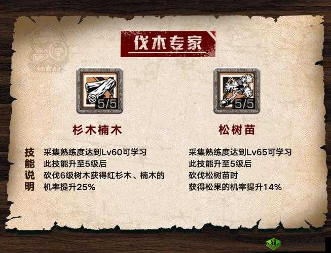 明日之后特级伐木专家技能攻略：详细加点推荐指南
