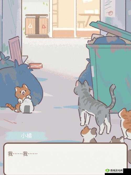 建议：《楼顶密码分享，遇见你的喵》