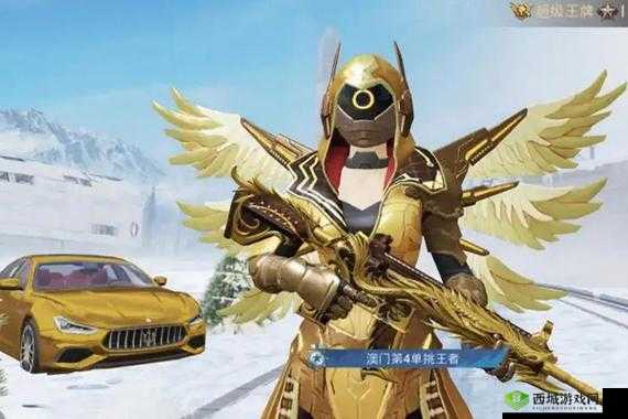 和平精英炽羽金尊套装:获取秘籍大揭秘