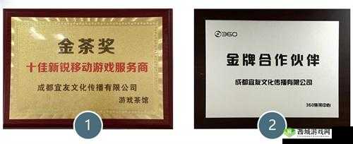 成都宜友荣膺360金牌合作伙伴奖项：深度解读公司实力