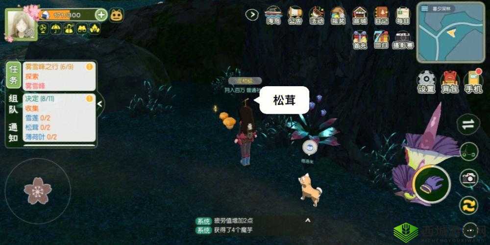 小森生活:探索松茸与雪莲的神秘踪迹