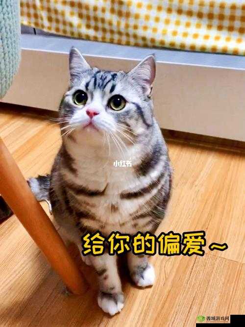 第人格教授偏爱之动物探究：神秘学者心仪的生灵揭秘