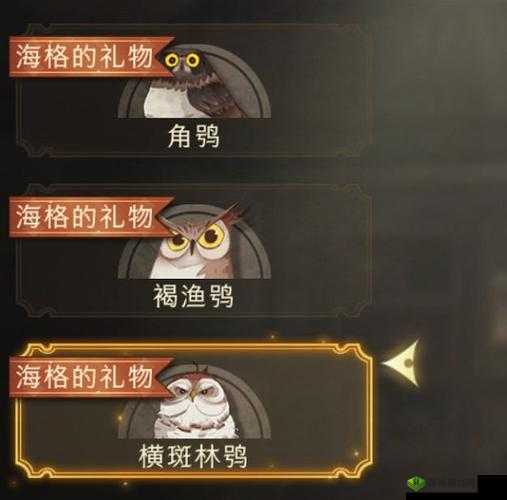 哈利波特魔法觉醒手游猫头鹰获取途径详细介绍与攻略