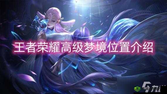 2021年王者荣耀高级梦境入口揭秘:全面解析与分享