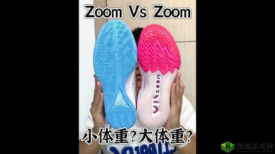 Zoom与牛性胶ZOOm区别：深度剖析与对比