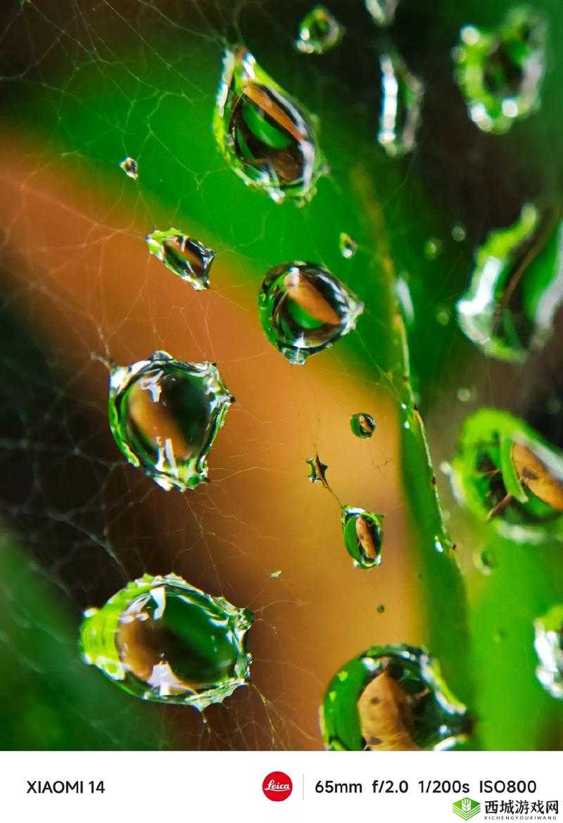 免费短视频大全：发现精彩世界