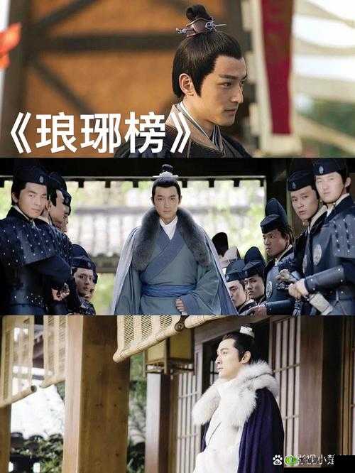 麻花影视免费观看电视剧琅琊:精彩剧情不容错过