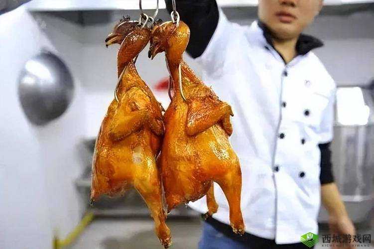 美国人与畜禽 Croproation365：畜禽合作的探索