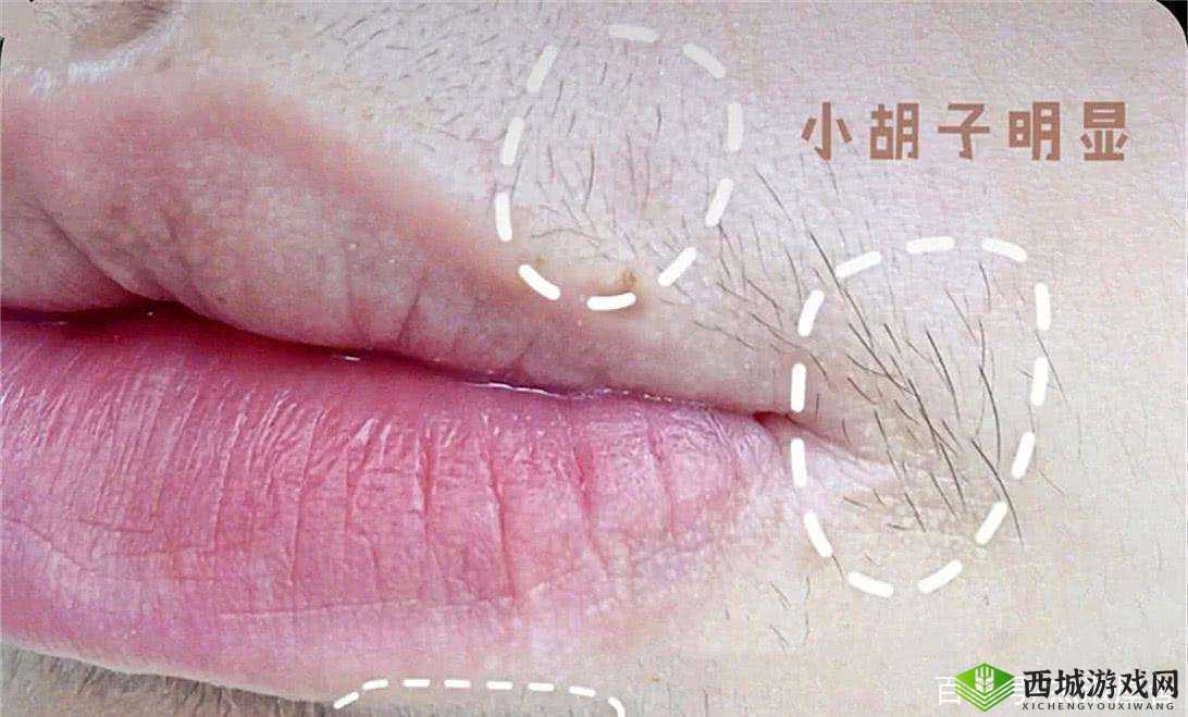 16 岁唇毛明显到 18 岁还会长吗:探讨