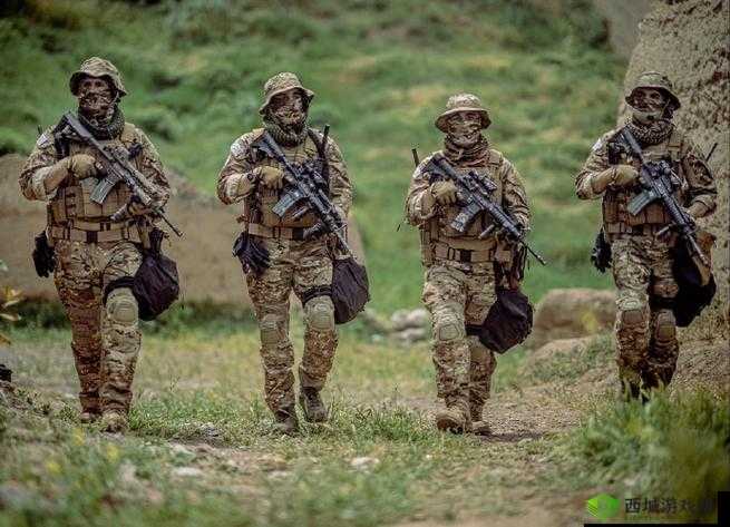 喜欢老外的战斗力：到底有多强