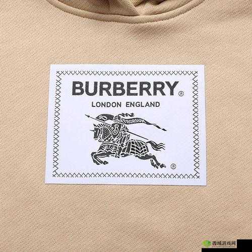 BURBERRY 中文免费版，时尚必备