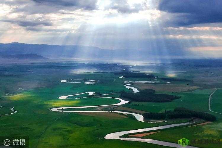 桂花婶:九曲十八弯的秘密