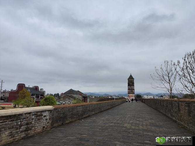 混乱小镇公交车售票员招聘条件:详细要求公布