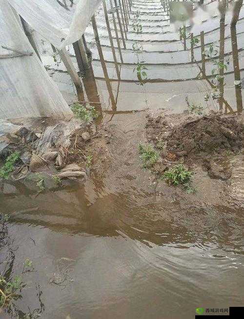 JUL532 外勤突然下大雨:众人被困