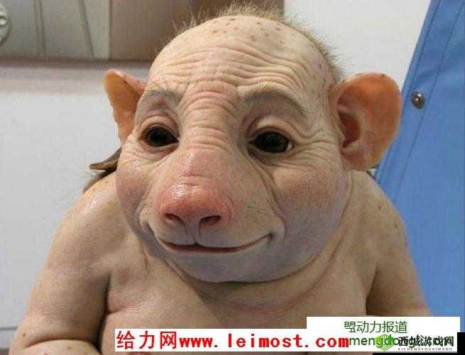人猪又细又长像钻头一样图片：奇特生物奇观