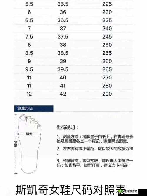 日本尺码与亚洲尺码区别:深度剖析与对比