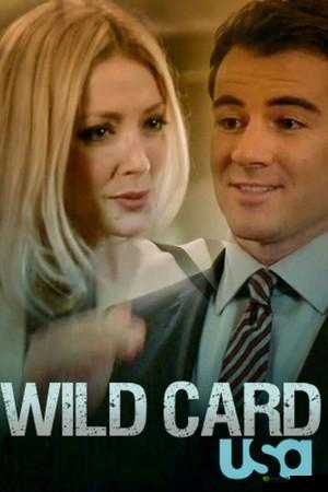 欧美视频线与高清线:传输的完美搭档