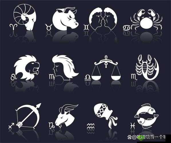 塔塔星座独特职业与丰富阵营体系全方位详细解读介绍