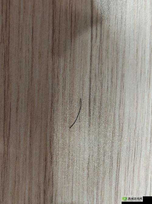 有一根又黑又硬的蘑菇头:探秘其神秘世界