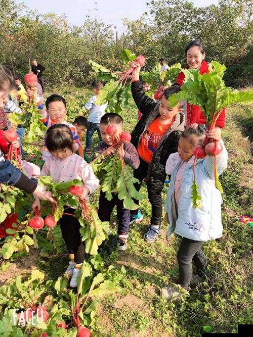 拔萝卜痛又降黄 9.1:独特体验引发关注