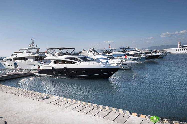 圣剑生存新手攻略：开局技巧全掌握，轻松开启生存之旅