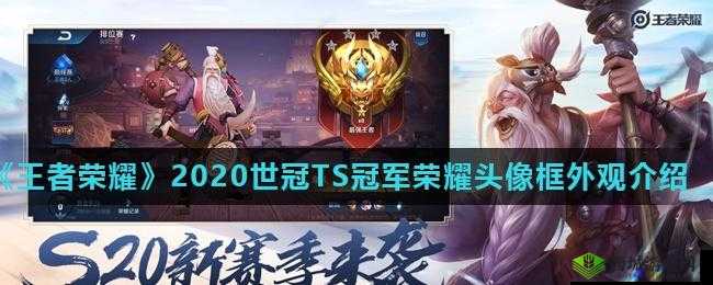 2020 王者荣耀世冠 TS 冠军荣耀头像框获取方式及外观详情