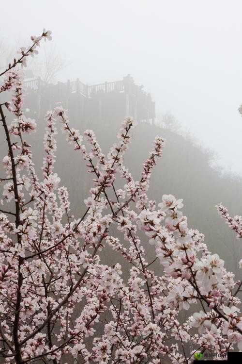 桃花洞口已是溪水潺潺：那一抹春日的灵动