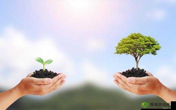 长途汽车陌生人最后一排的故事